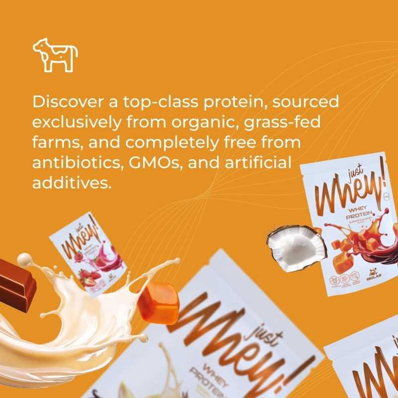 Just Whey! whey protein powder WPC premium Nutri Whey™, 1 kg - Image 2