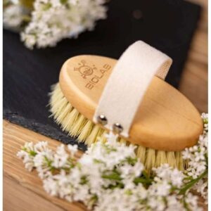 Alternative view of Dry body brush