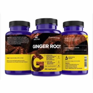 Ginger root extract, 5% gingerols 550 mg, 60 caps